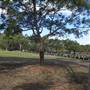 Rookwood Cemetery