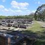 Rookwood Cemetery