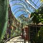 The Calyx - Royal Botanic Garden Sydney