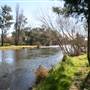 Tumut River Bridge