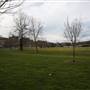 Tumbarumba