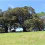Rosebank Farm