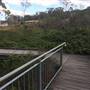 The Gully Walk, Katoomba (formerly Catalina Park)