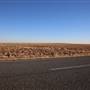 Menindee Road