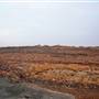 Broken Hill - ore deposit, Line of Lode Lookout and Miners Memorial