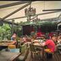 Tree House Byron
