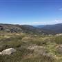 Snowy Mountains region