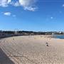 Bondi Beach
