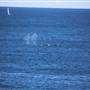 Cape Solander
