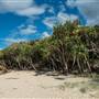 Fingal Head Lighthouse & Coastal Reserve