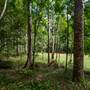 Tunsted Private Property Crystal Creek Valley