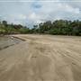 Brunswick Head Estuaries 2017