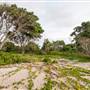 Hickey Island - Yamba
