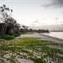 Hickey Island - Yamba