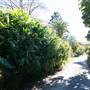 Mullumbimby