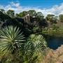 Island Quarry