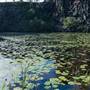 Island Quarry