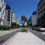 Harold Park Tramsheds & Residential Apartments
