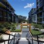 Shepherds Bay - Meadowbank