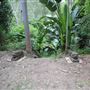 Private Property - Upper Colo