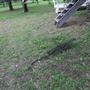 Private Property - Upper Colo