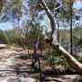 Manly Dam & Reservoir