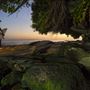 Sutherland Shire Coastal Shots