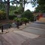 Auburn Botanic Gardens - Japanese Garden
