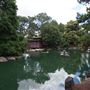 Auburn Botanic Gardens - Japanese Garden