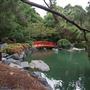 Auburn Botanic Gardens - Japanese Garden