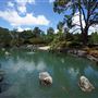 Auburn Botanic Gardens - Japanese Garden