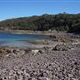 Bass Point Reserve