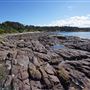 Bass Point Reserve