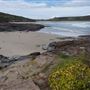 Killalea Regional Park