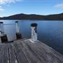 Peat Island