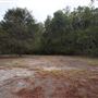 Peat Island