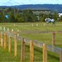 Camden Bicentennial Equestrian Park