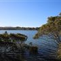 Bermagui