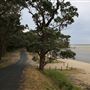 Tuross Head