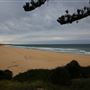 Tuross Head