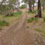 Whylandra Crossing, Dubbo