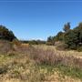 Bonna Point Reserve
