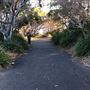 Cronulla