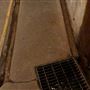 North Head Sanctuary - North Fort Tunnel & Fortifications