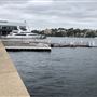 Ballaarat Park - Pyrmont