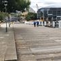 Pyrmont Bay Park