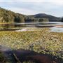 Clarrie Hall Dam