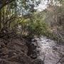 Clarrie Hall Dam