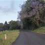Coolamon Scenic Drive in the Byron Bay Hinterlands