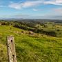 Coolamon Scenic Drive in the Byron Bay Hinterlands